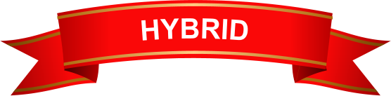 HYBRID